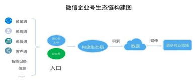 通威股份數字化轉型 當水產巨頭擁抱互聯網數據服務